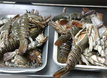 gabon/gaboon-estuary/restaurant/amigo-s-restaurant