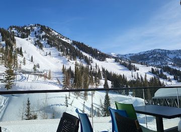 utah/snowbird-ski-resort/restaurant/seventyone