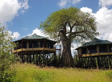 tanzania/tarangire-national-park/restaurant/tarangire-kuro-treetops-lodge