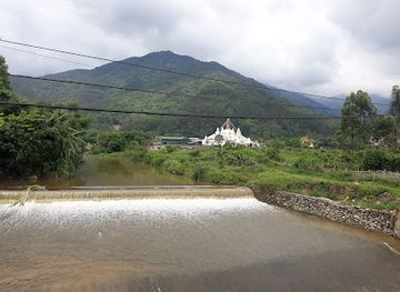 vietnam/tam-dao/restaurant/nha-hang-tuan-hai