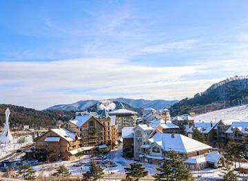 south-korea/pyeongchang-ski-resorts/restaurant/holiday-inn-suites-alpensia-pyeongchang-an-ihg-hotel