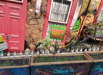 chile/valparaiso-region/restaurant/bogarin