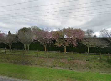 new-zealand/gisborne/restaurant/bushmere-arms