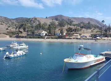 california/santa-catalina-island/restaurant/harbor-reef-restaurant-bar