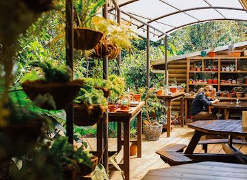 costa-rica/monteverde-cloud-forest/restaurant/stella-s-monteverde