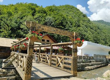 romania/rodnei-mountains/restaurant/pastravaria-cormaia