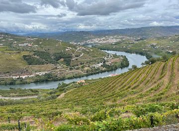 portugal/douro-valley/restaurant/manjar-do-douro