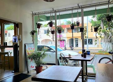 mexico/cozumel/restaurant/la-cuisine