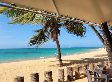 dominican-republic/las-terrenas/restaurant/casa-azul-pizzeria