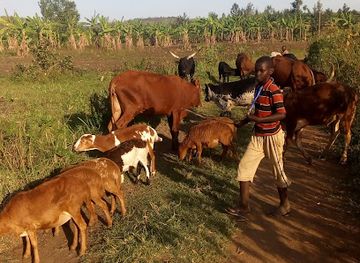 rwanda/nyagatare/restaurant/bismillah-restaurant