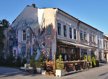 romania/dolj/restaurant/ardelenesc-osanu-centrul-vechi