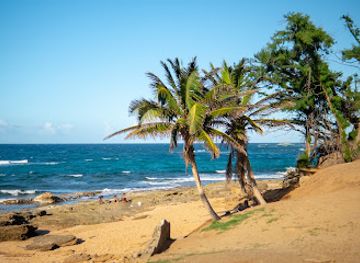 puerto-rico/mona-island/restaurant/el-nuevo-acuario