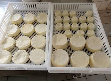 cameroon/ngaoundere/restaurant/mat'am-daily-food-nagorundi