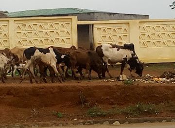 cameroon/ngaoundere/restaurant/boutique-bachirou