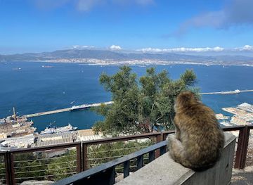 gibraltar/upper-rock-nature-reserve/restaurant/aquaterra