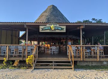 honduras/roatan/restaurant/roatan-famous-conch-fritters