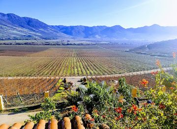 chile/central-valley/restaurant/vina-santa-cruz