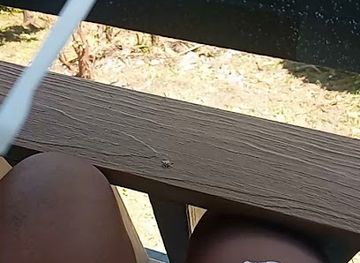 saint-lucia/marigot-bay/restaurant/kaio-s-hangout