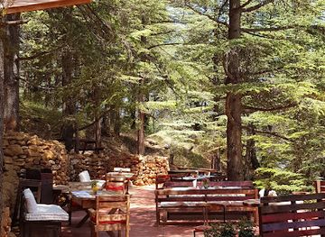 lebanon/cedars-of-god/restaurant/arzat-lunch-buffet