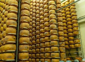 italy/modena/restaurant/caseificio-bio-reggiani