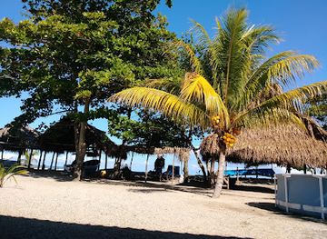 honduras/colon-region/restaurant/brisas-del-caribe-el-hoyo-de-bacho