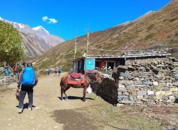 nepal/dolpo/restaurant/raju-restaurant