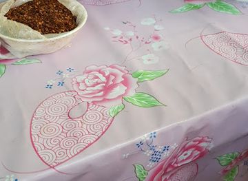 myanmar-burma/mrauk-u/restaurant/golden-plate-rakhine-traditional-soup-mont-ti