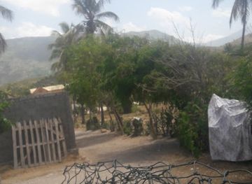 haiti/grand-anse/restaurant/oasis-beach