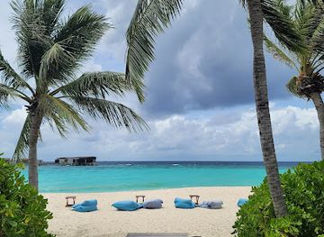 maldives/huvadhoo-atoll/restaurant/the-drift-at-park-hyatt-maldives-hadahaa