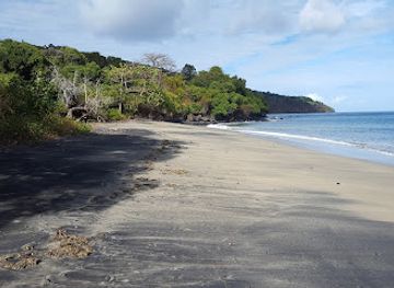 mayotte/plage-de-n-gouja/restaurant/3-baobab