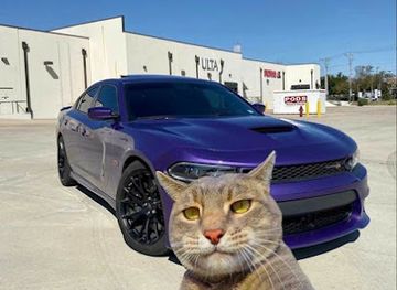 azerbaijan/greater-caucasus/restaurant/old-city-restaurant