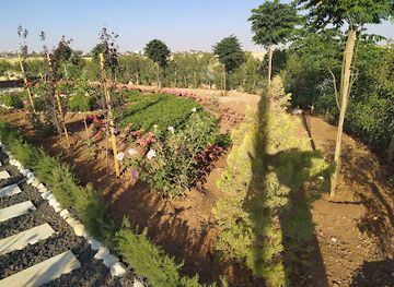 jordan/azraq/restaurant/cafe-ayssar