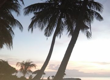 maldives/laamu-atoll/restaurant/ahariyaas-open-kitchen