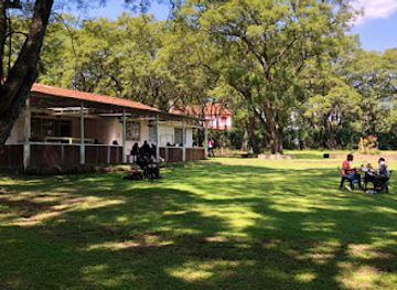 kenya/lake-nakuru-national-park/restaurant/kijani-kafe-bar-and-restaurant