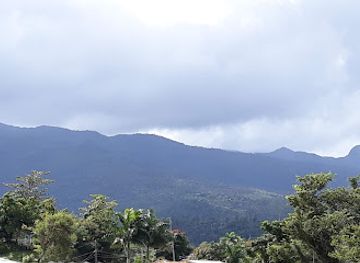 puerto-rico/el-yunque-national-forest/restaurant/el-chapin