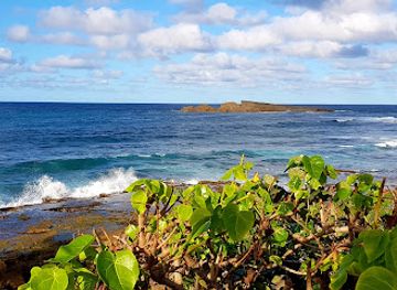 puerto-rico/camuy-river-cave-park/restaurant/el-fogon-de-abuela