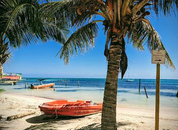 belize/lighthouse-reef-atoll/restaurant/fantasy-dining