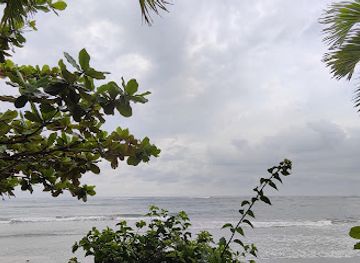 indonesia/bengkulu/restaurant/kane-food-x-zona-makan-bengkulu