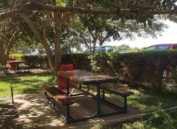zambia/bangweulu-wetlands/restaurant/the-fig-tree-cafe
