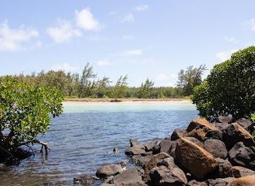mauritius/bel-ombre/restaurant/le-bouchon