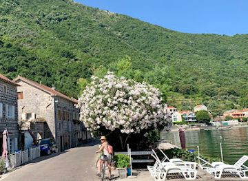montenegro/perast/restaurant/restaurant-margarita