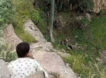 yemen/aden/restaurant/mat'am-sanaa