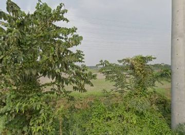 bangladesh/madhupur-tract/restaurant/bogra-road