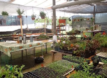 uruguay/paysandu/restaurant/madre-cuenca