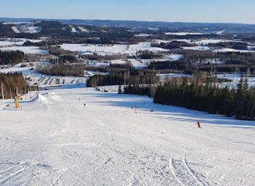 sweden/riksgransen/restaurant/sunne-ski-bike-with-sunne-bike-park