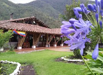 Donde Juan B Bosques de Cocora Valle De cocora