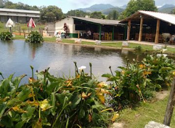 brazil/serra-da-mantiqueira/restaurant/pesqueiro-do-turco-p4