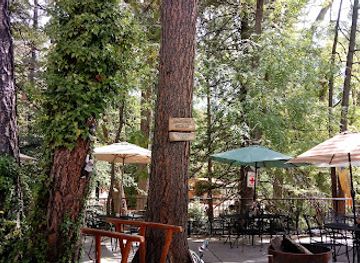 arizona/mogollon-rim/restaurant/landmark-at-the-creek