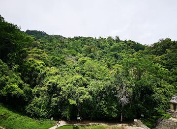 mexico/lacandon-jungle/restaurant/zona-arqueologica-palenque