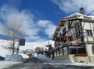 lebanon/bsharri/restaurant/le-pichet-des-cedres-restaurant